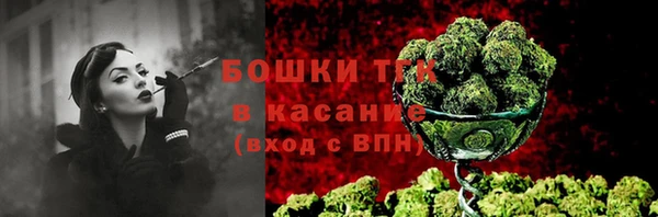 мдпв Лабытнанги